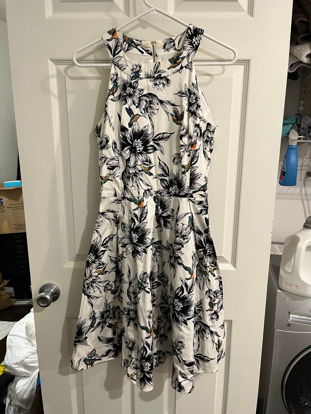 Dressbarn Dress Hummingbird Fit And Flare Size 8